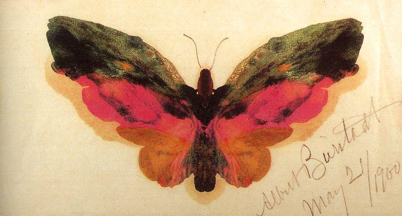 Albert Bierstadt Butterfly France oil painting art